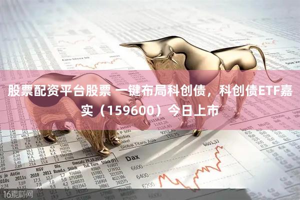 股票配资平台股票 一键布局科创债，科创债ETF嘉实（159600）今日上市