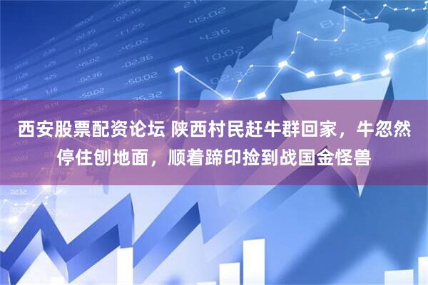 西安股票配资论坛 陕西村民赶牛群回家,牛忽然停住刨地面,顺着蹄印捡到战国金怪兽